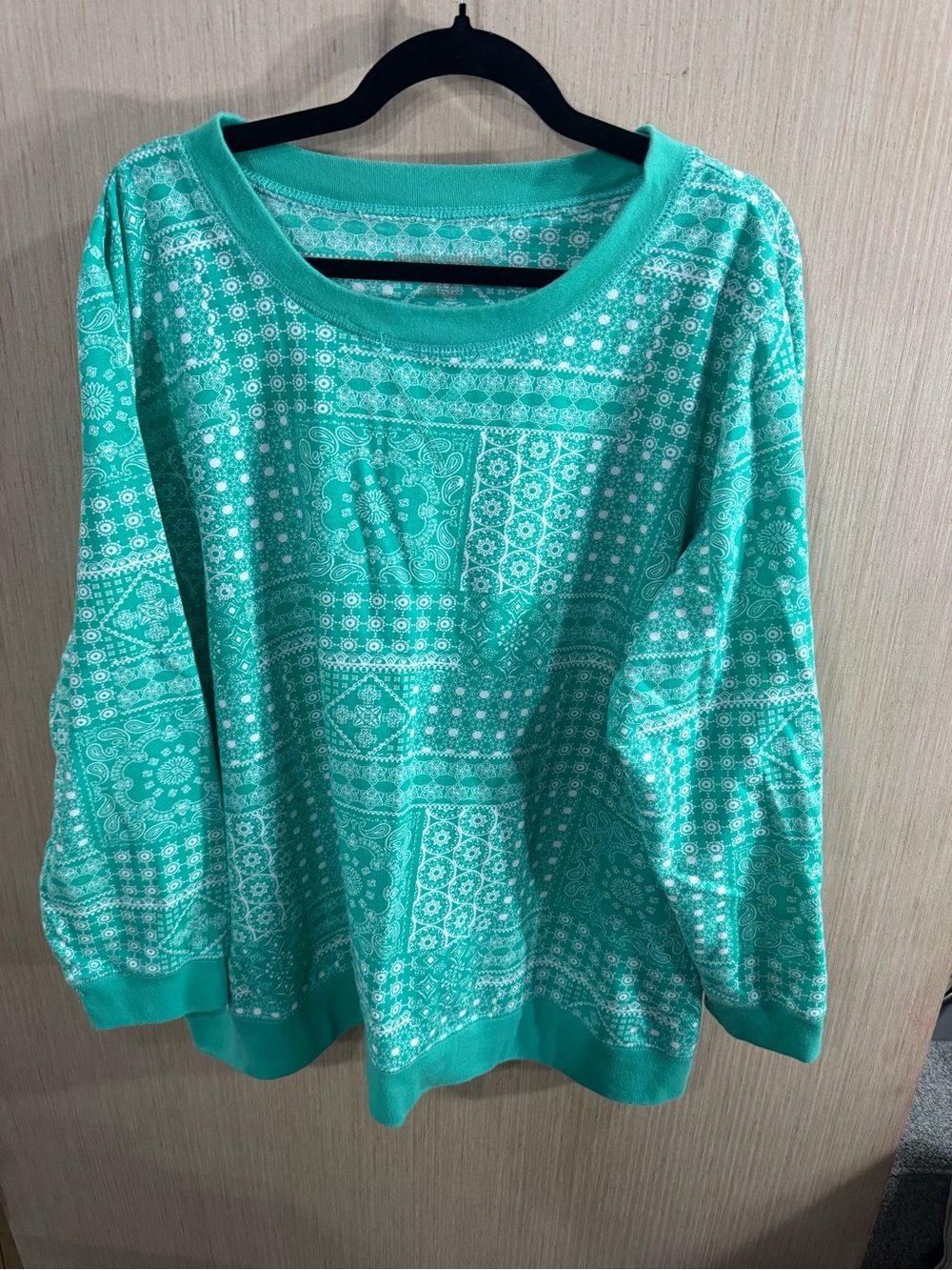 Women's Woman Within Teal Patterned Long Sleeve Sweatshirt Size 1X